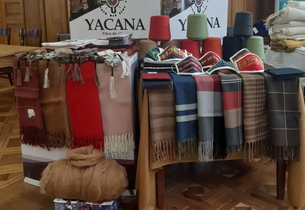 Chalinas y otras prendas de fibra de alpaca producidos por la empresa estatal Yacana. Foto: ABI