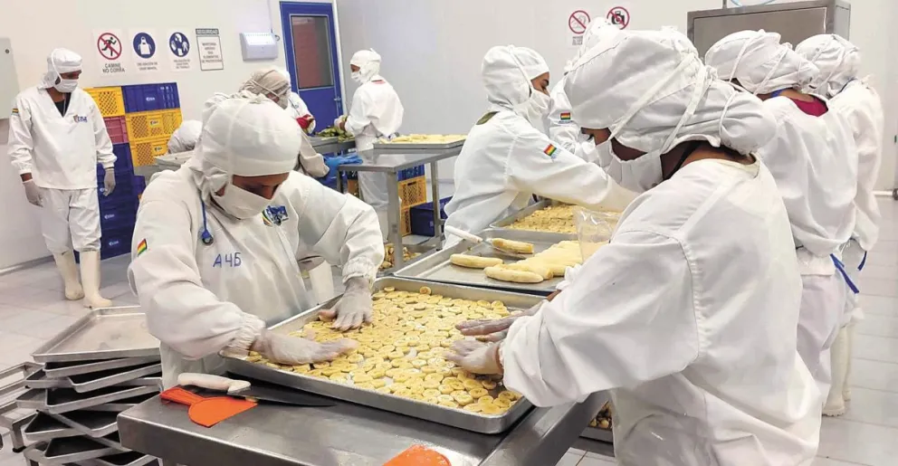 Empleados de una planta liofilizadora de frutas de EBA. Foto: ABI 