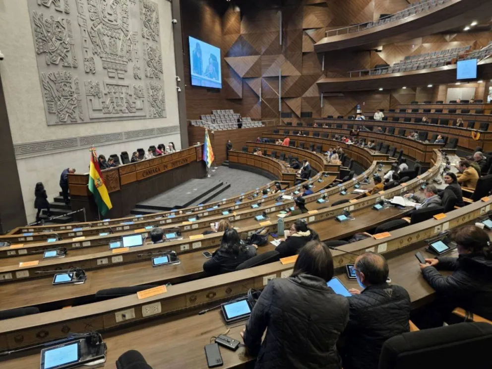 El hemiciclo de la Cámara de Diputados. Foto: RRSS de Deisy Choque