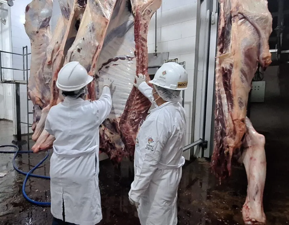 Trabajo de verificación de carne dirigida a la exportación. Foto: ABI