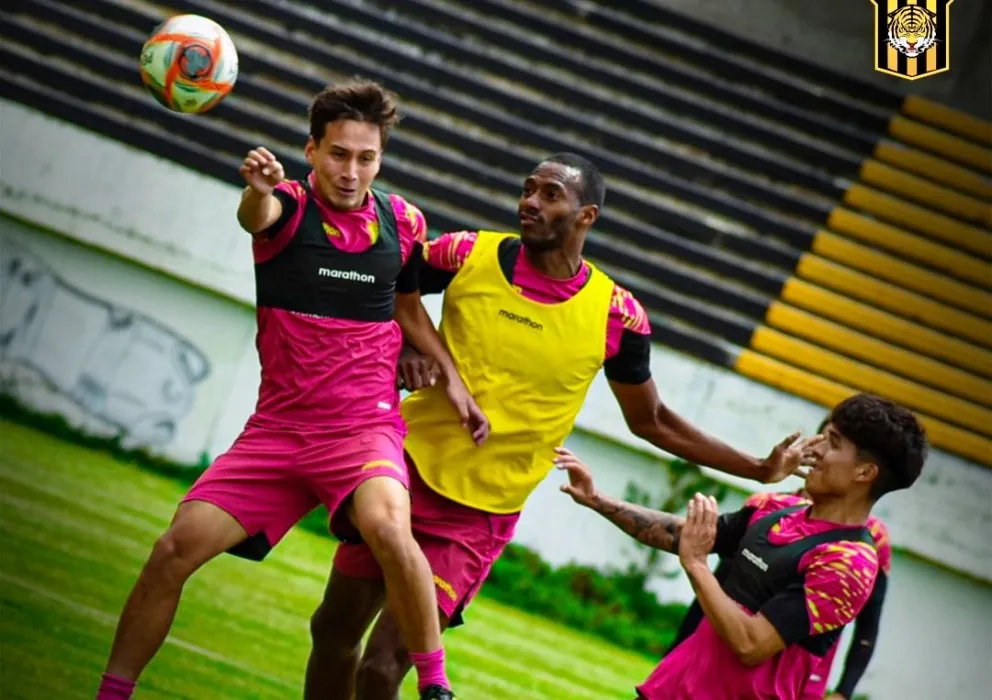 Un entrenamiento de los atigrados en su reducto de Achumani. Foto: TS