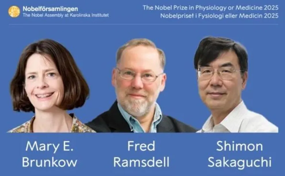 Los ganadores del Nobel de Medicina.  Foto: EFE / Asamblea Nobel del Instituto Karolinska de Estocolmo