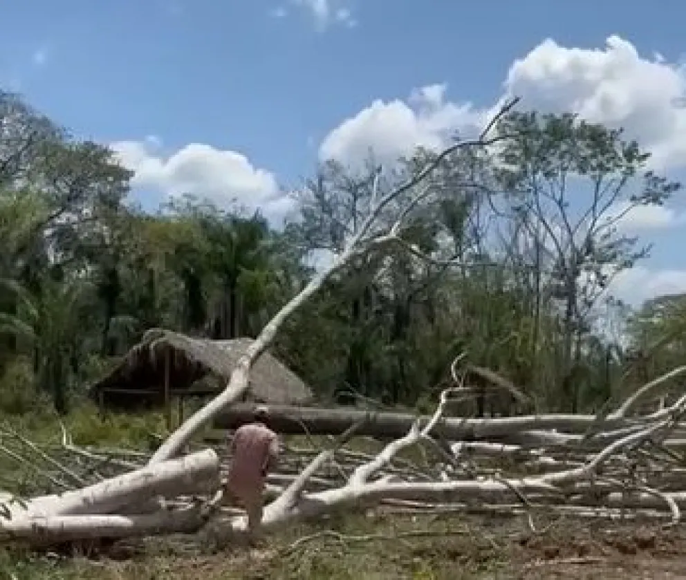 Los predios fueron tomados por comunarios la noche del domingo. Foto: Captura de video