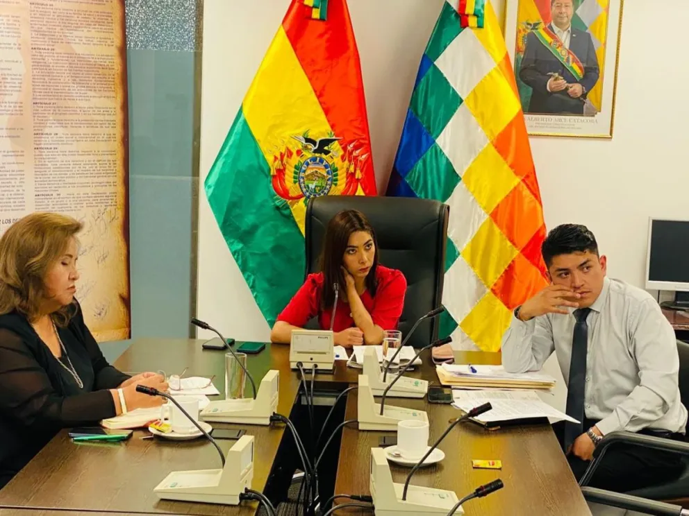 Comisión de Derechos Humanos de la Cámara de Diputados en sesión. FOTO: ABI 