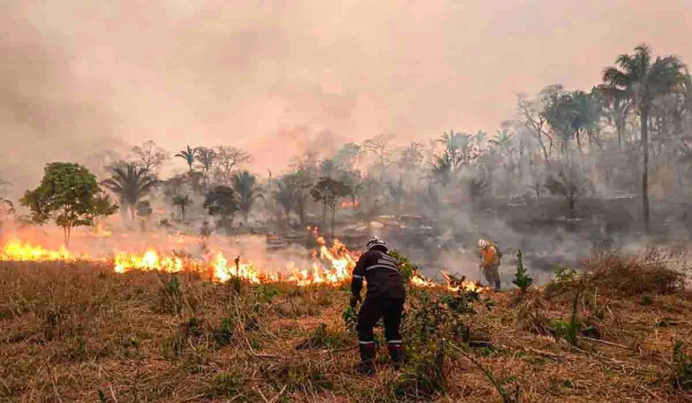 Bomberos intentan controlar un incendio forestal en Santa Cruz en 2024. Foto: Colegio de Ingenieros Agrónomos de Bolivia.