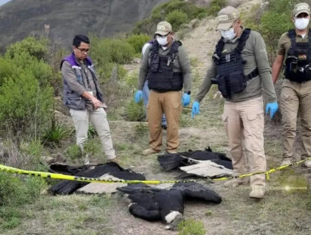 Funcionarios de Pofoma en el lugar del hecho. Foto: Abya Yala Tv