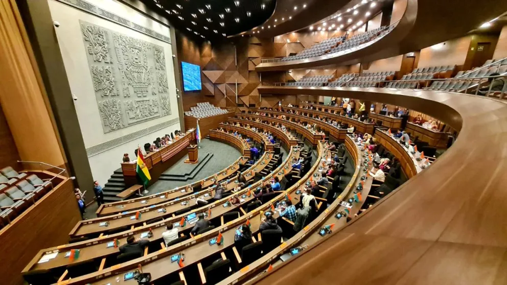 Sesión de la ALP en la que se aprobaron los créditos. Foto: ABI
