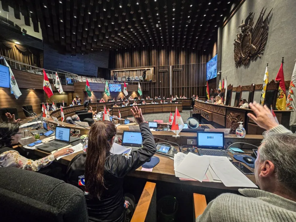 Una sesión del Senado en una imagen de archivo. Foto: RRSS