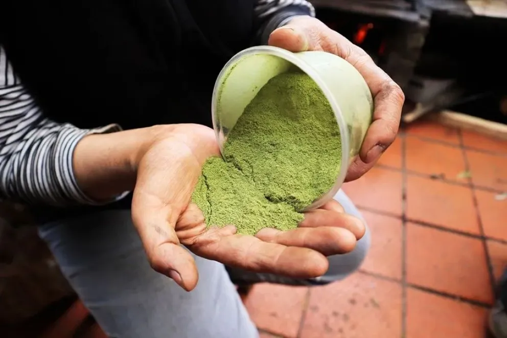 Fotografía de una persona mostrando hojas de coca molidas para ser usadas como base para teñir lana en Sutatausa (Colombia). EFE