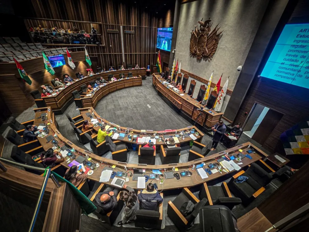 El senado en plena sesión. Foto: Captura
