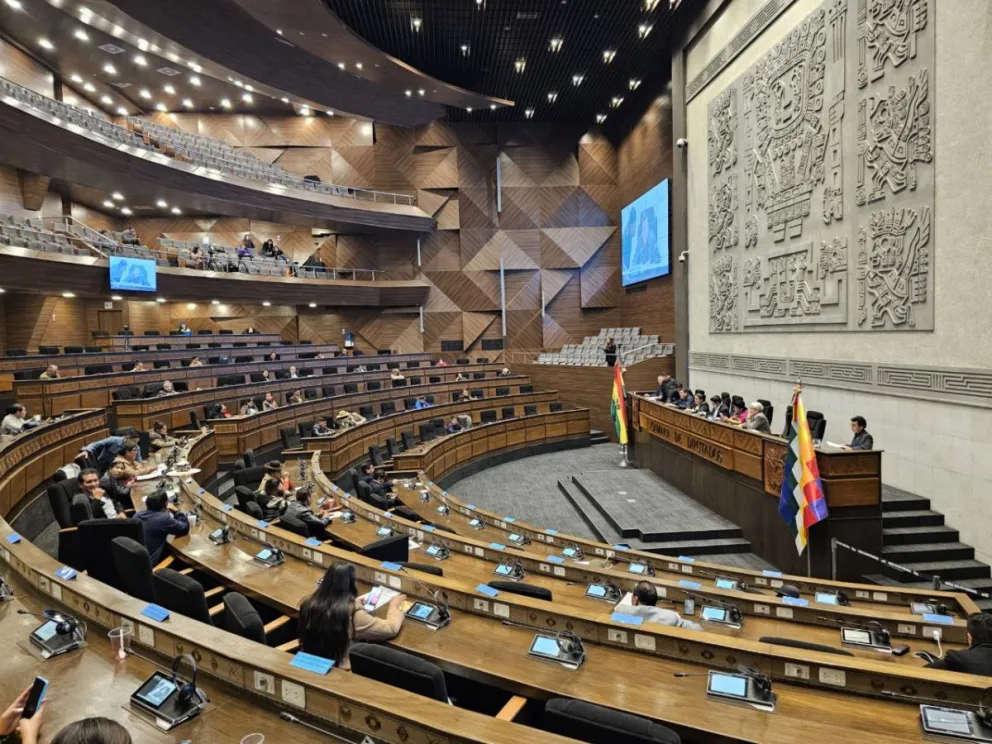 La sesión comenzó a las 14.45. Foto: Archivo Diputados Bolivia