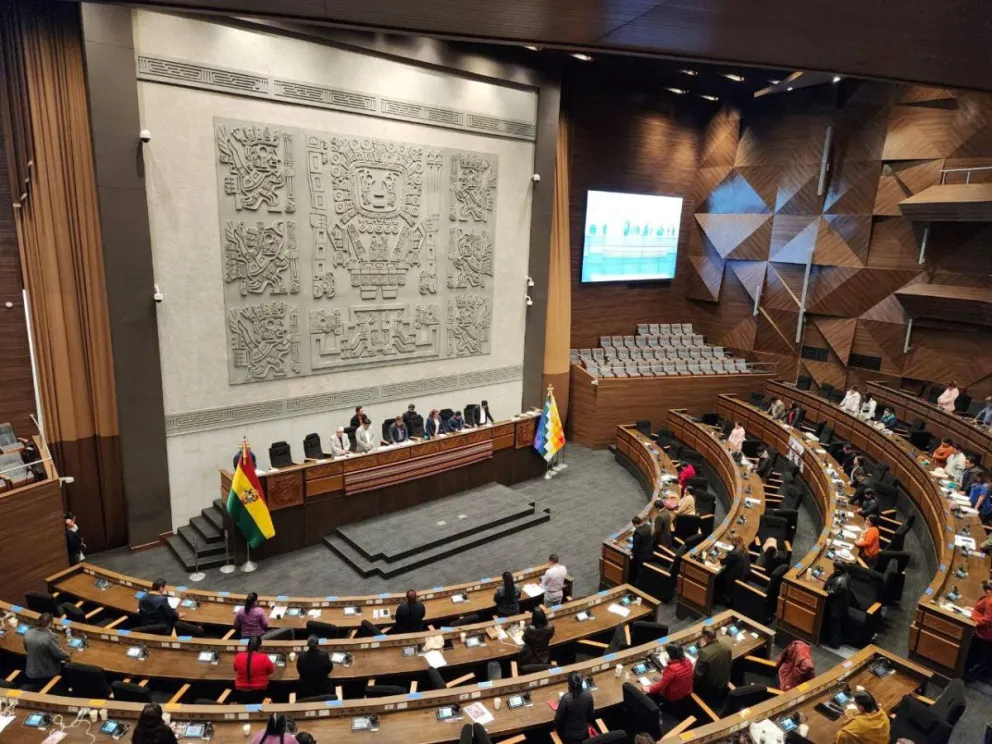 La sesión anterior de la ALP. Foto: Diputados