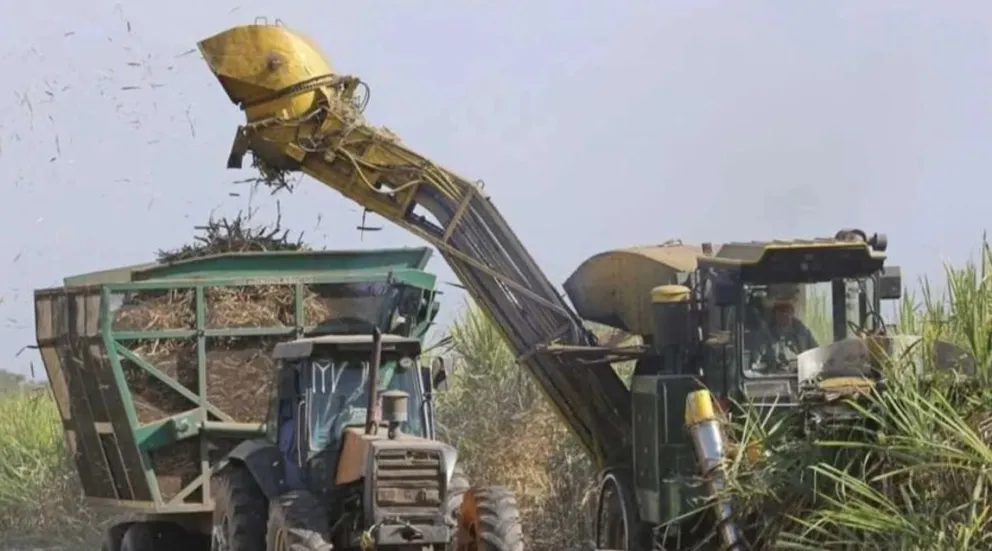 Una cosecha de caña en una imagen de archivo. Foto: RRSS