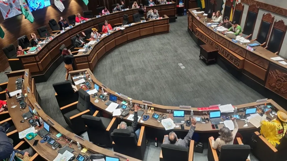 Comienza la conformación de las bancadas en la Cámara Alta. Foto: ABI
