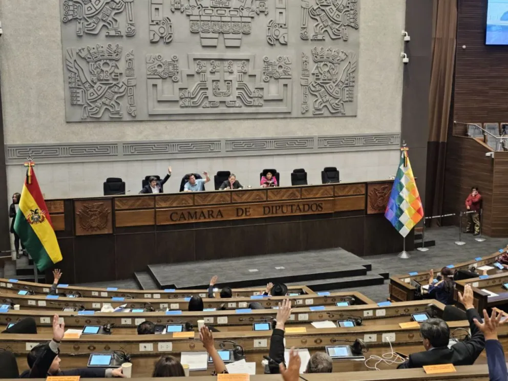 La sesión se llevó adelante desde la mañana; sin embargo, la ley de carburantes se tocó desde la noche. Foto: Diputados Bolivia