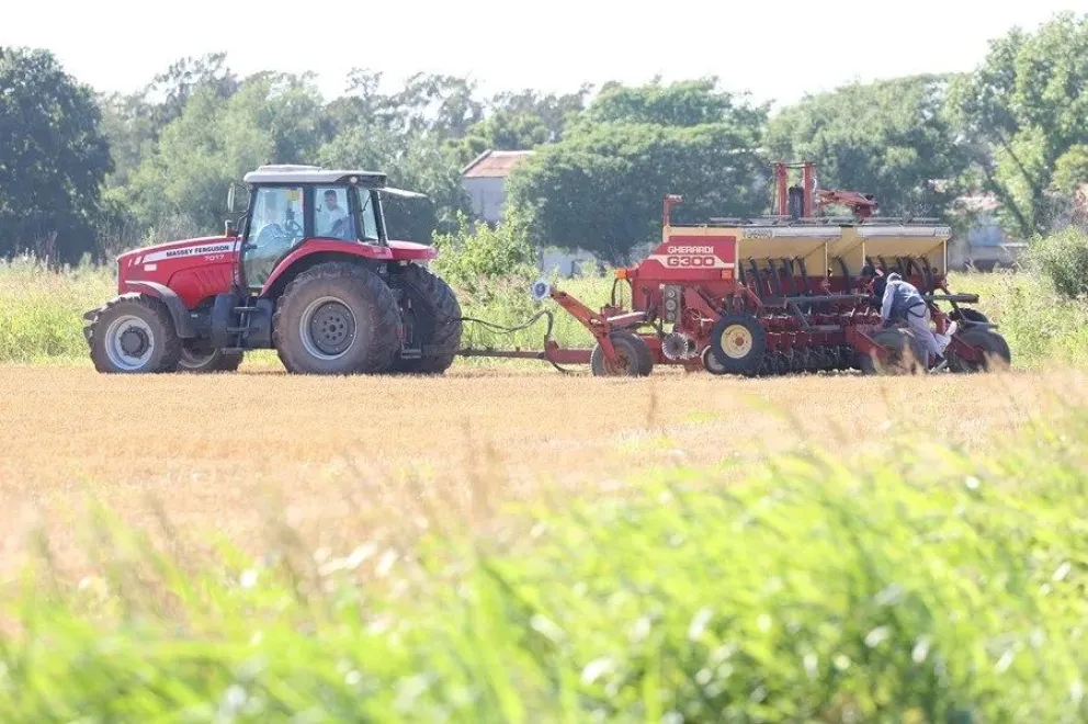 Fotografía de archivo de personas trabajando en un campo sembrado en la provincia de Santa Fe (Argentina). EFE