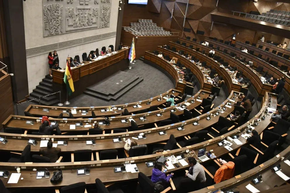 La Cámara de Diputados en una imagen de archivo. Foto: APG