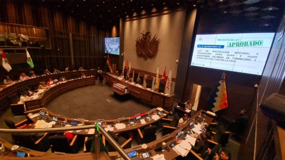 Asambleístas en la sesión de la Cámara de Senadores. Foto: Erbol