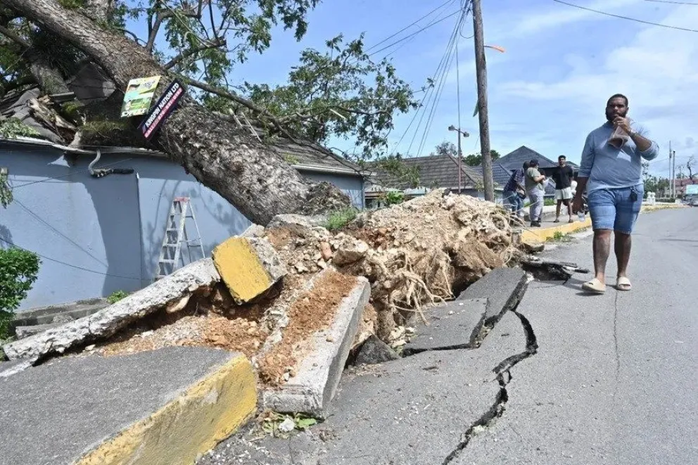 Una persona camina frente a un árbol caído debido al paso del huracán Melissa, el 29 de octubre de 2025, en la Parroquia de Saint Ann en el condado de Middlesex (Jamaica). EFE