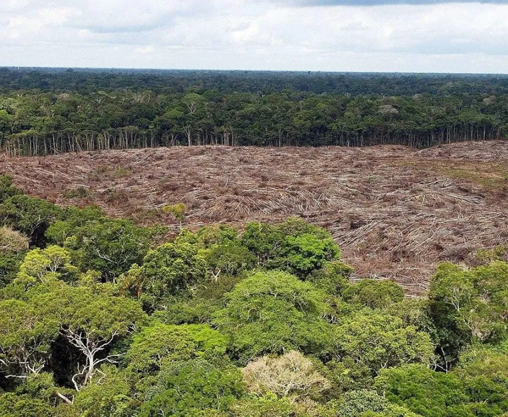 Fotografía de archivo de la deforestación en la selva de la Amazonía de Brasil. EFE