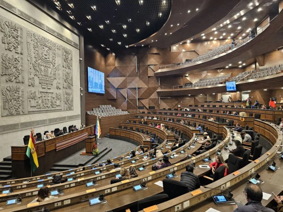 Una sesión de la Cámara Baja en una imagen de archivo. Foto: Cámara de Diputados