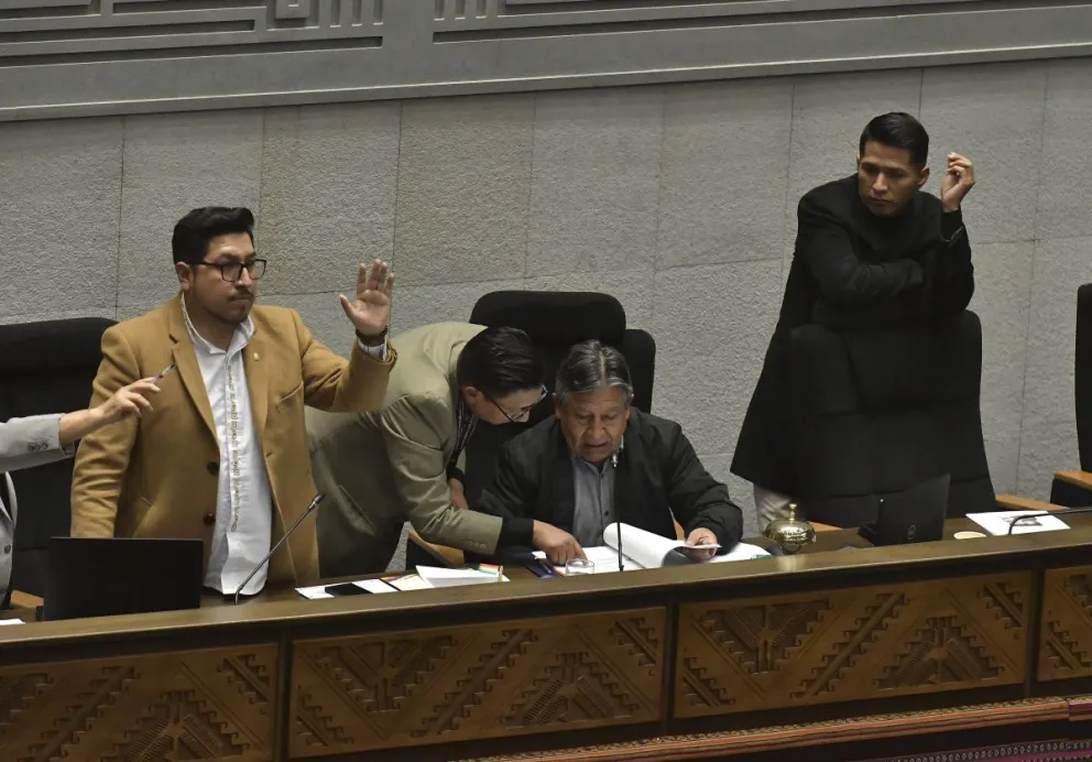 El Vicepresidente saliente, durante la sesión en la que se aprobó la ley. FOTO: APG