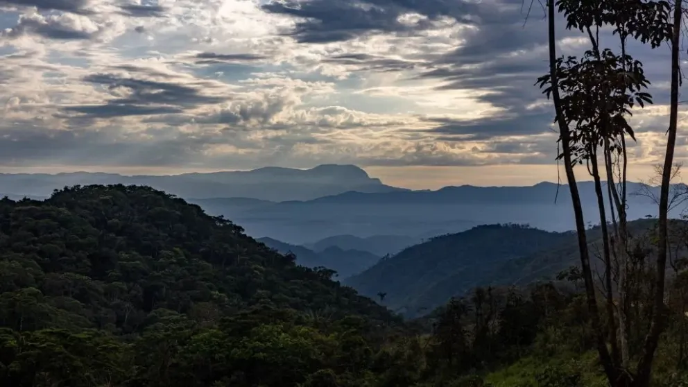 imagen panorámica de la nueva área protegida. Foto: Roberto Saltori. 