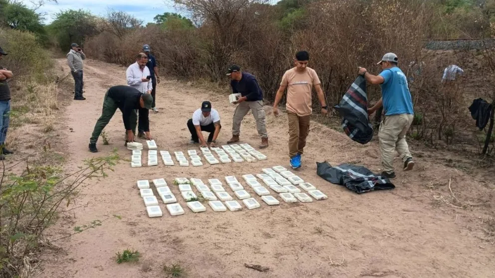 Se encontraron más paquetes de droga enterrados en la zona donde se precipitó la avioneta. Foto: Redes sociales