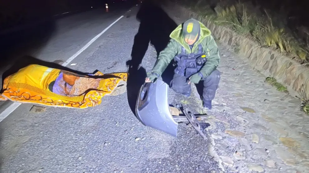 Miembro de la Patrulla Caminera investiga circunstancias del hecho. Foto: Ministerio de Defensa