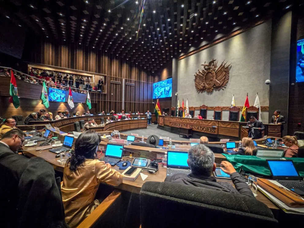 El pleno de la Cámara de Senadores. Foto: ABI / Archivo Senado