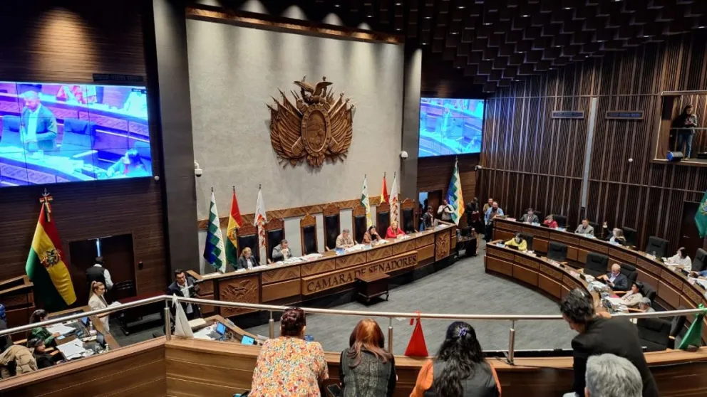 La sesión del Senado de este jueves. Foto: Marco Belmonte / Visión 360 