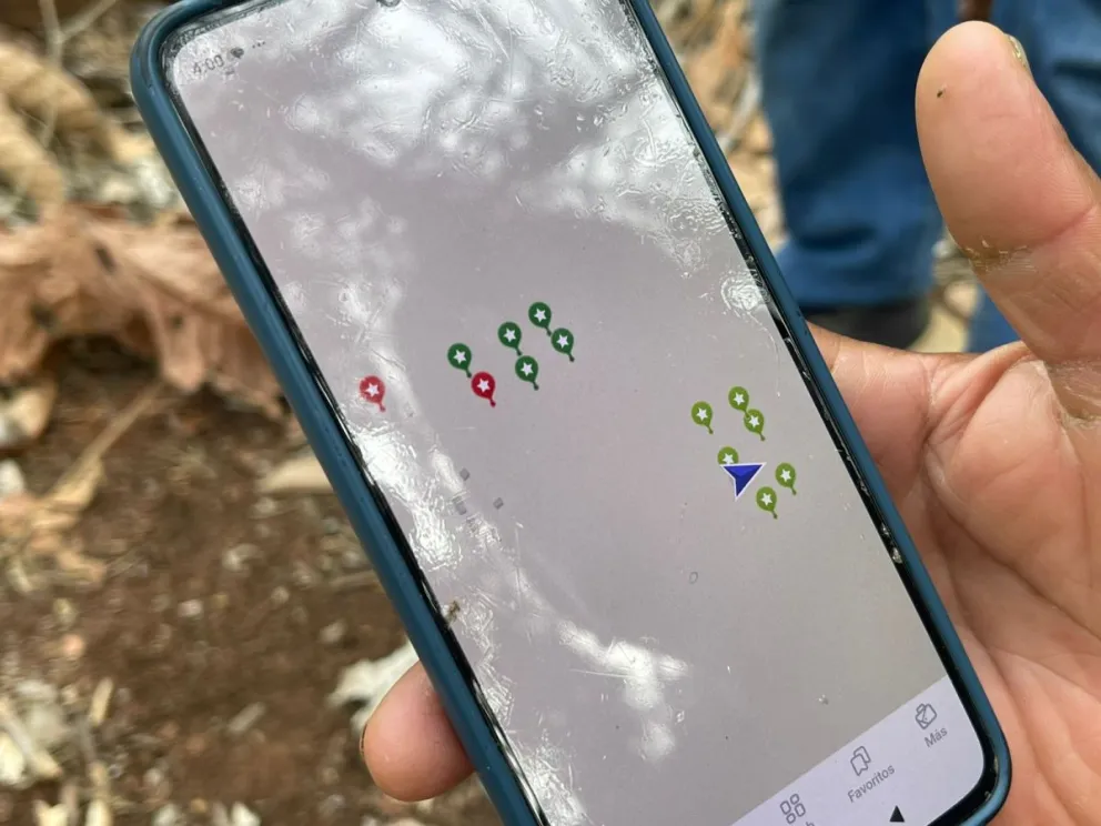 Los monitores indígenas se ayudan de aplicaciones para verificar la presencia de minería ilegal. Foto: Cejis.