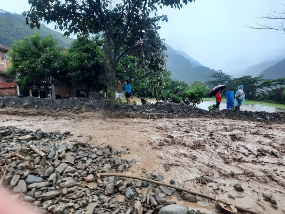 Una imagen de la mazamorra que golpeó al municipio de La Asunta. Foto: Infobo Bolivia