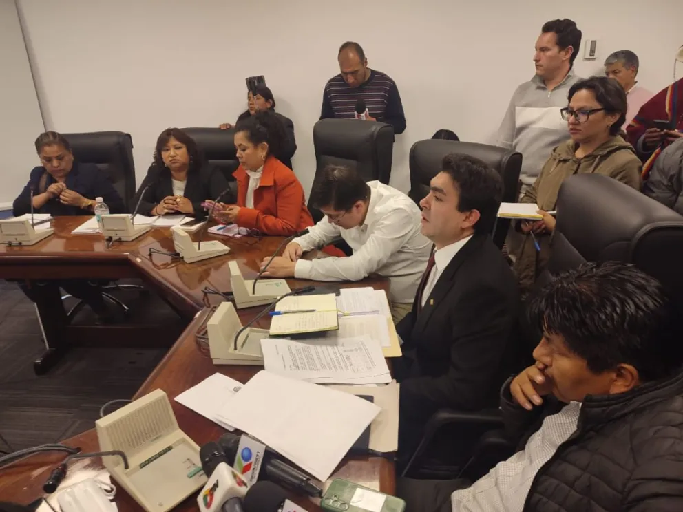 Los asambleístas de la Comisión de Constitución de la Cámara de Diputados. Foto: Paulo Lizárraga