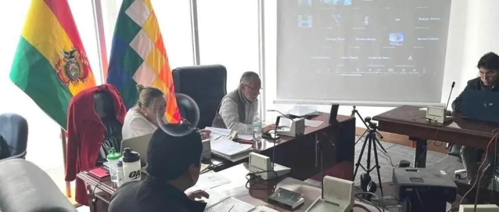 Sesión de la Comisión de Constitución. FOTO: Captura de video de Unitel