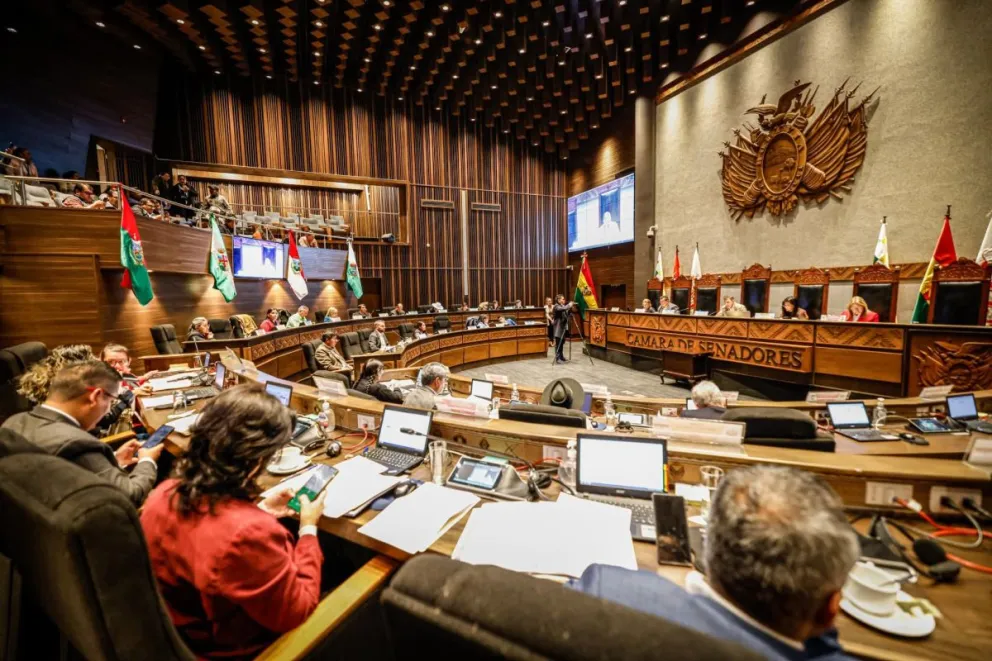 Sesión en la Cámara de Senadores. FOTO: Cámara de Senadores