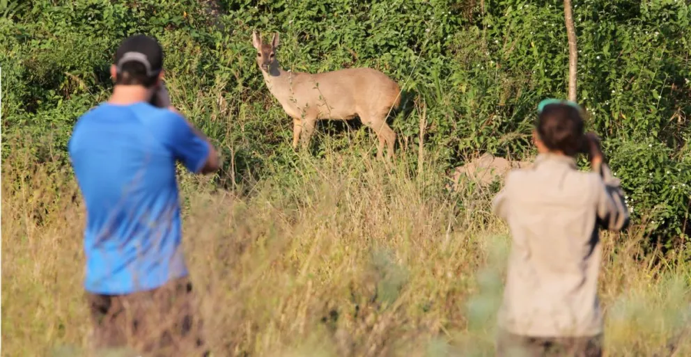 El gobierno de Luis Arce, durante su campaña, proponía que Bolivia lideraría un proceso internacional alternativo al “capitalismo verde” y a la “mercantilización de la naturaleza”. Foto: Parque Nacional Kaa Iya.