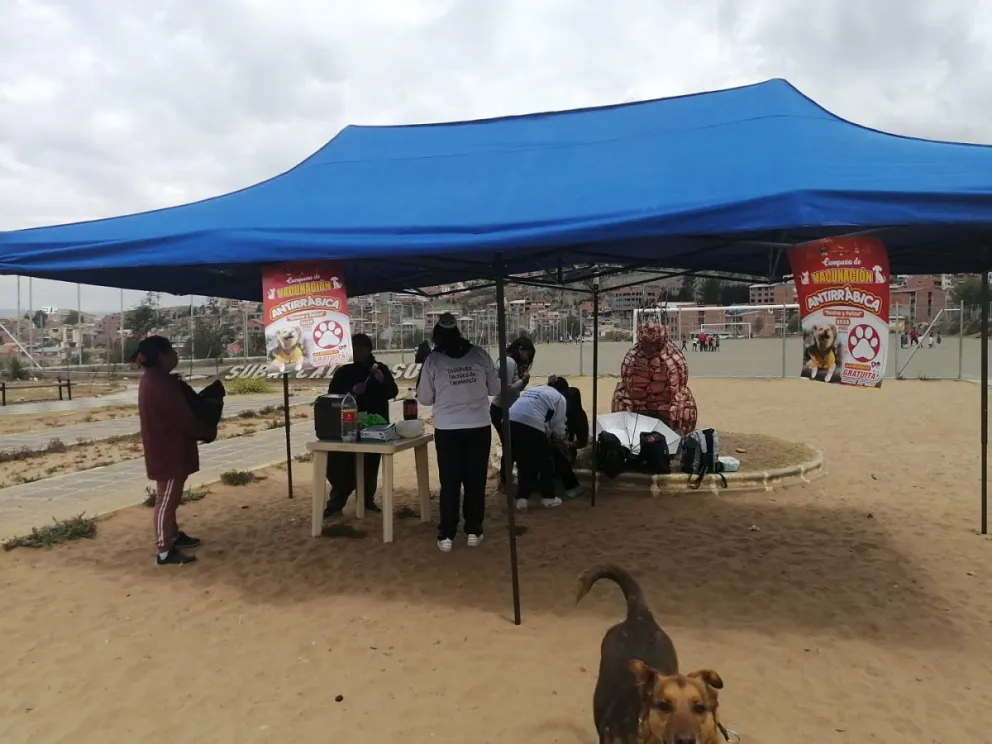 Una de las brigadas de vacunación en la ciudad de La Paz. Foto: Visión 360