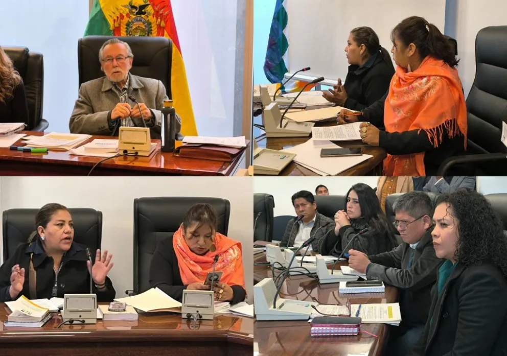 La comisión sesionó este lunes. Fotos: Cámara Baja 