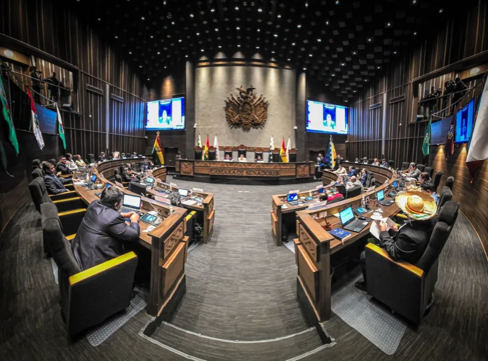 El pleno de la Cámara Alta en una imagen de archivo. Foto: Senado