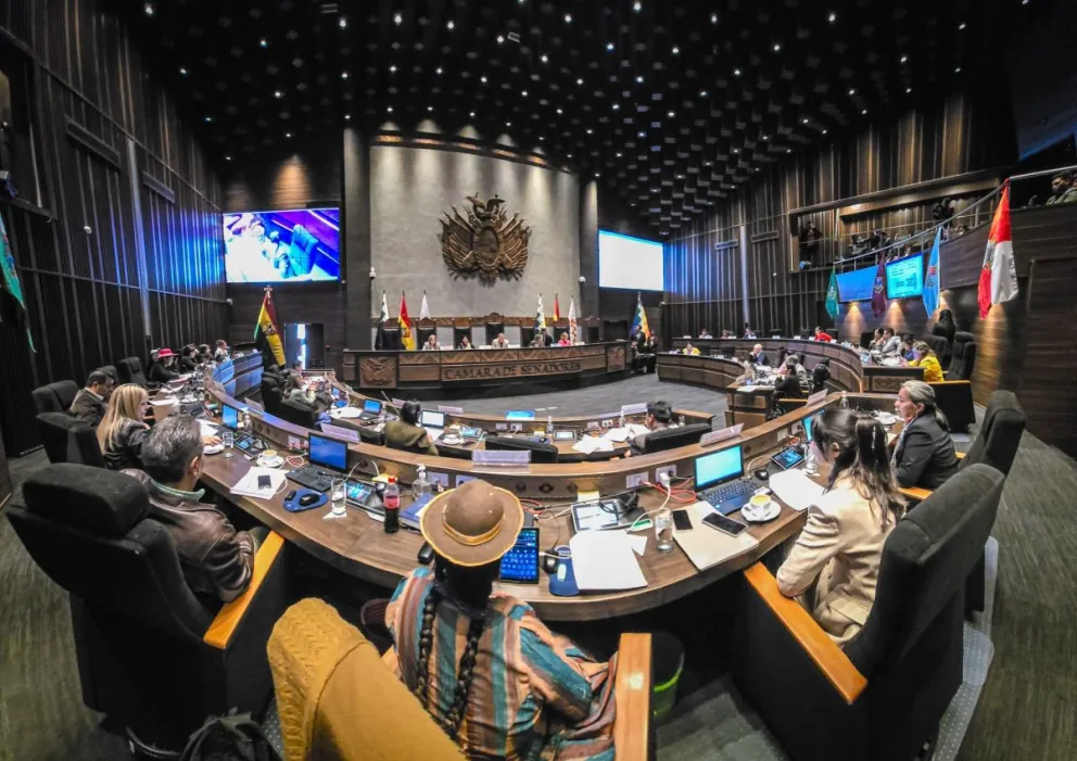 La sesión del Senado de este martes. Foto: Cámara Alta 