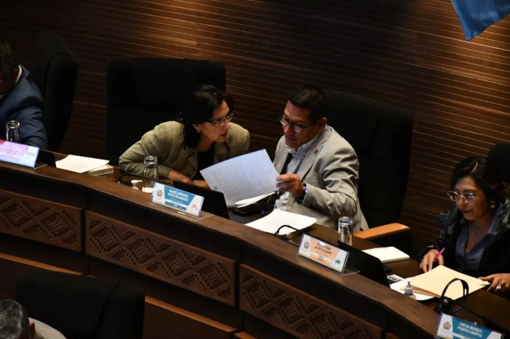 Senadores durante el tratamiento de la ley esta semana. Foto: APG