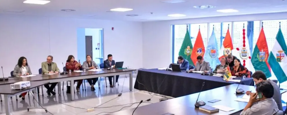 La Comisión Mixta de Constitución este miércoles durante su sesión. Foto: Unitel