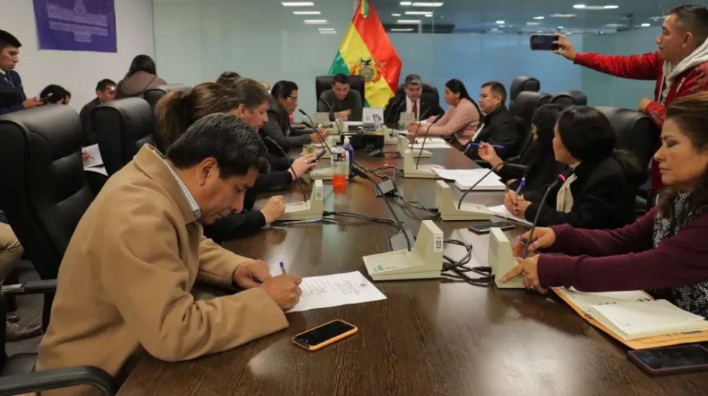 La sesión se llevó adelante en horas de la tarde y noche. Foto: Diputados Bolivia