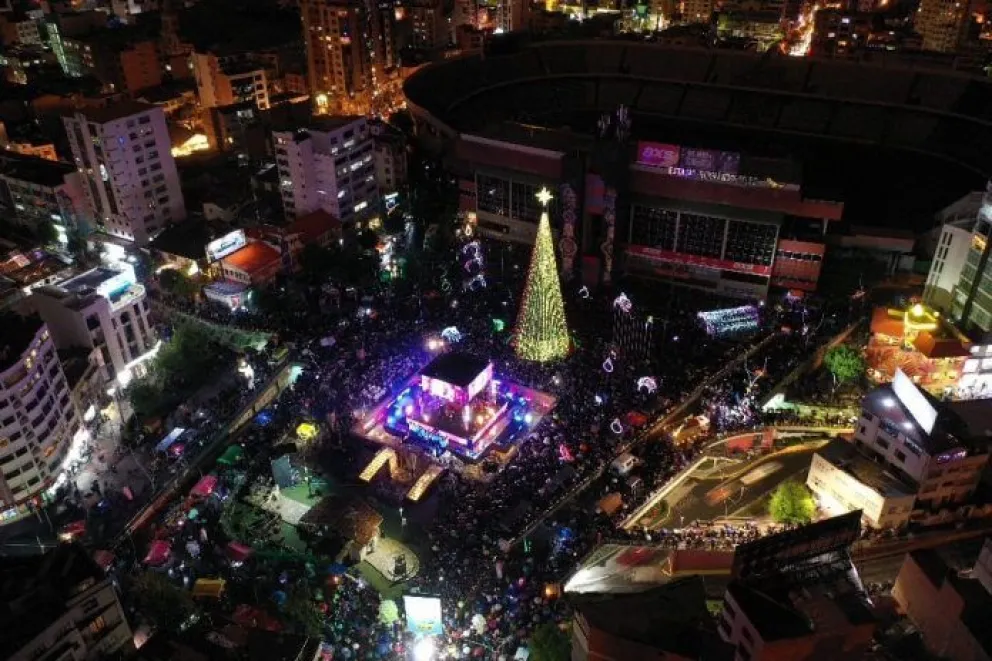 Vista aérea del árbol. FOTO: AMUN