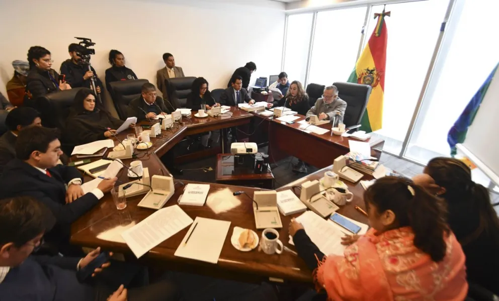 Sesión de la Comisión de Constitución. FOTO: APG