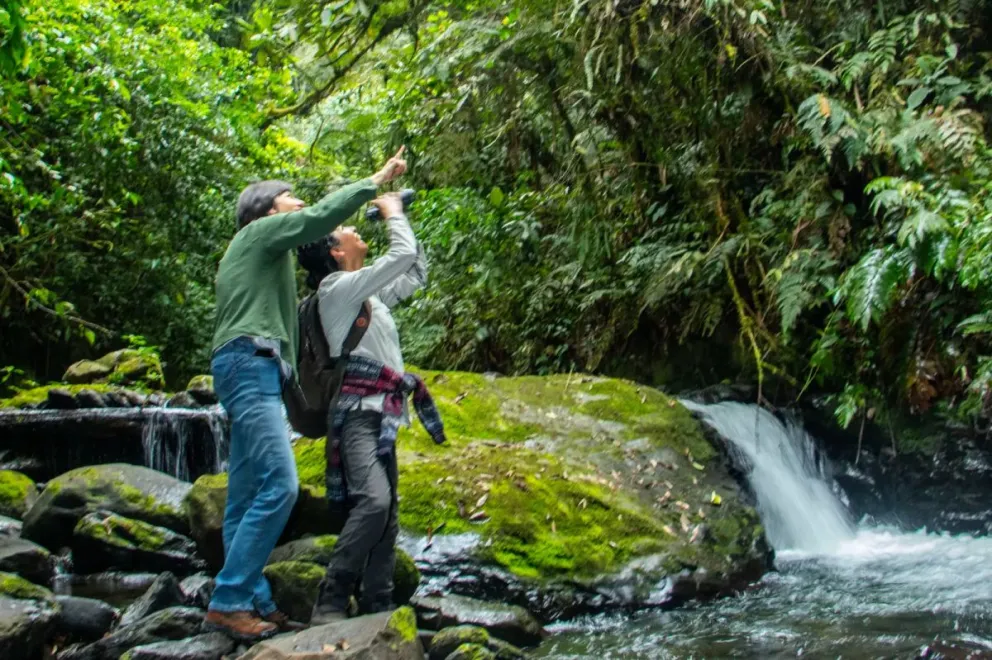 Avistamiento de aves en el Parque Nacional Cotapata. / Foto: Marcelo Arze – BIOTA.
