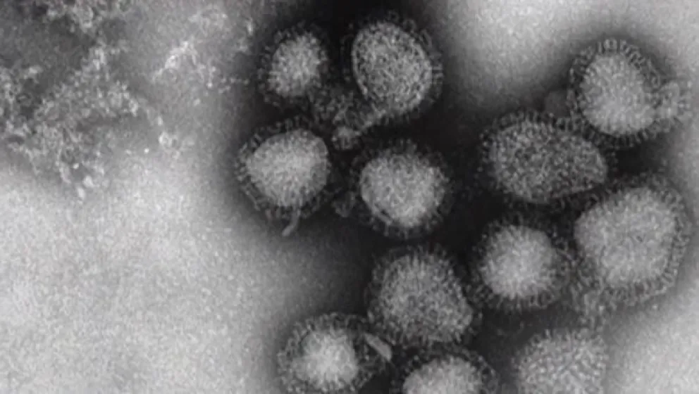 El virus del subclado K del virus gripal A(H3N2). Foto: Captura de video