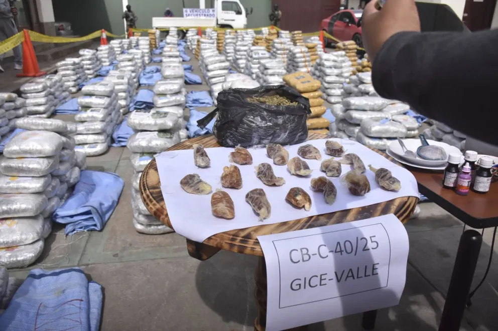 Estupefacientes secuestrados la semana pasada durante un operativo. FOTO: APG