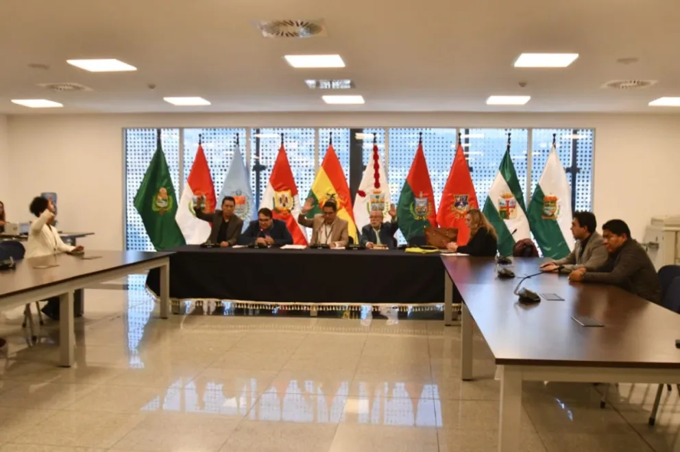 Los integrantes de la comisión votan, este jueves. Foto: APG 
